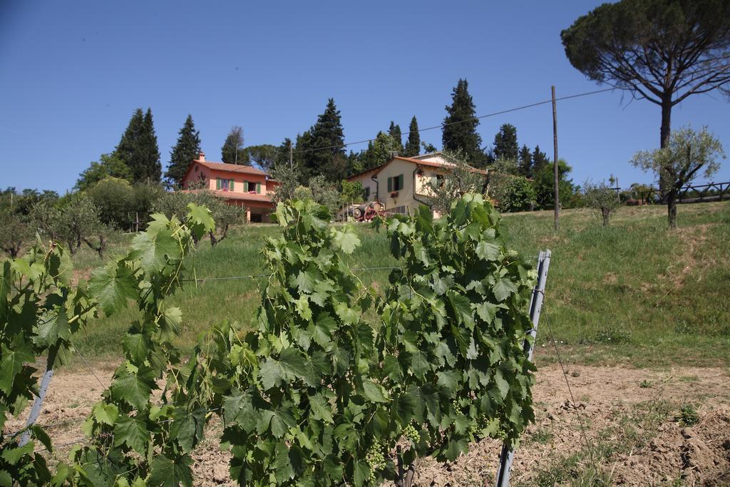 Agriturismo Podere Poggio Ai Cieli San Gimignano Kültér fotó